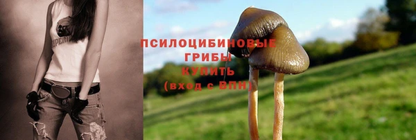 СК Магас